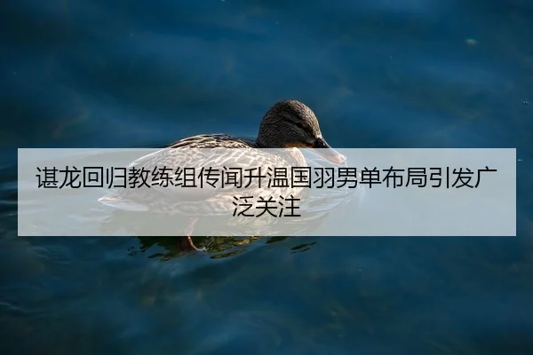 谌龙回归教练组传闻升温国羽男单布局引发广泛关注